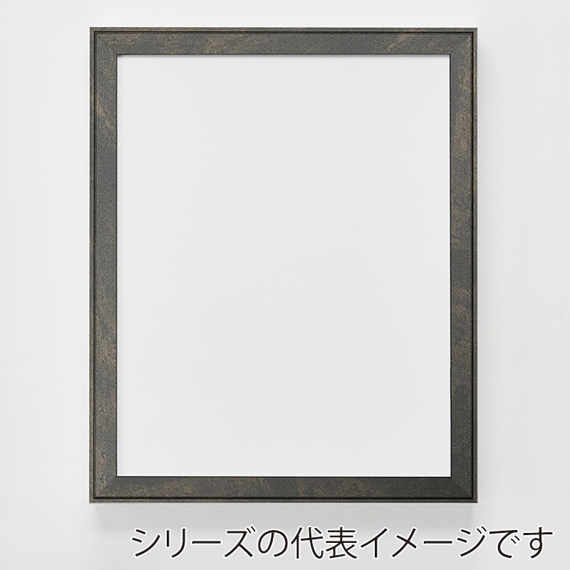 アルナ デッサン額　FW 大衣　509×394mm 宗達フレーム 1個（ご注文単位1個）【直送品】