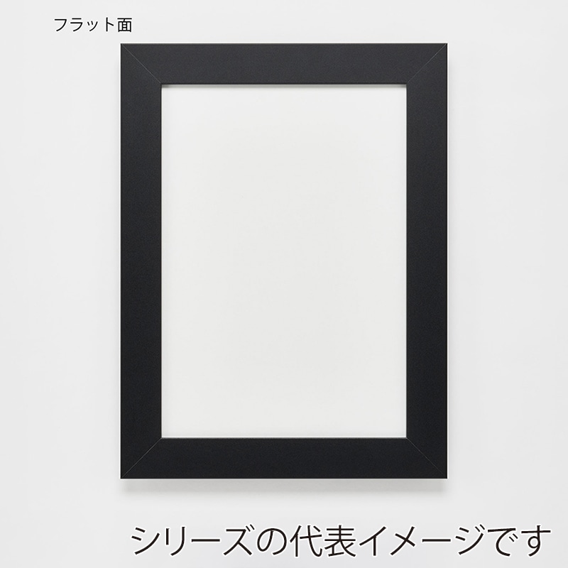 アルナ デッサン額 DUO MO判 900×700mm マットブラックフレーム 1個(ご注文単位1個)【直送品】