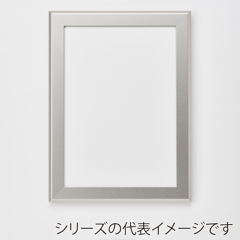 アルナ デッサン額・ポスターパネル　FILLET 600×300 マットシルバーフレーム 1個（ご注文単位1個）【直送品】