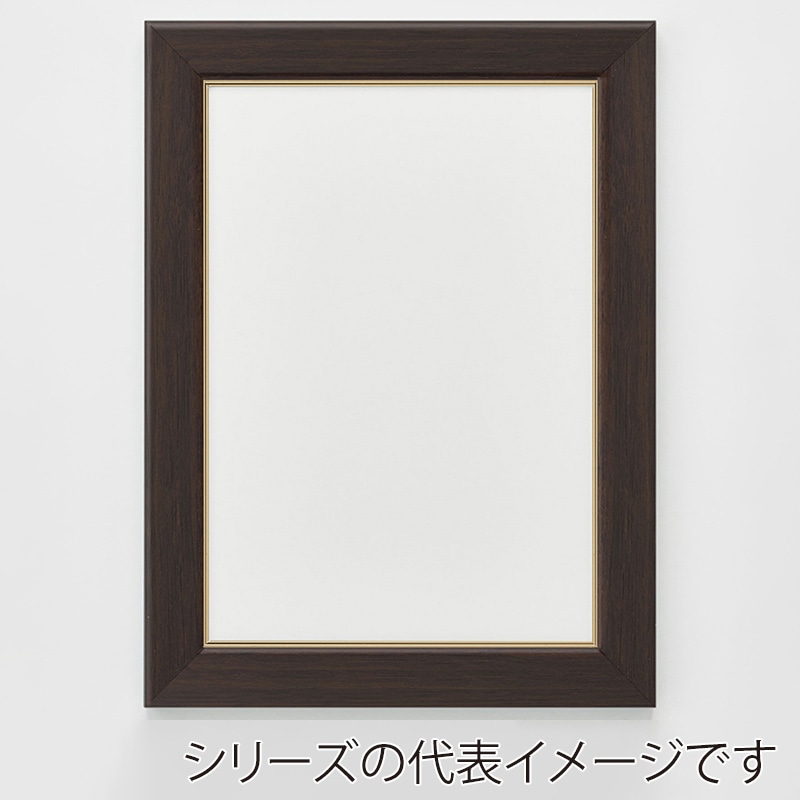 アルナ デッサン額 CF 面金付き 小全紙 659×509mm オークフレーム 1個(ご注文単位1個)【直送品】