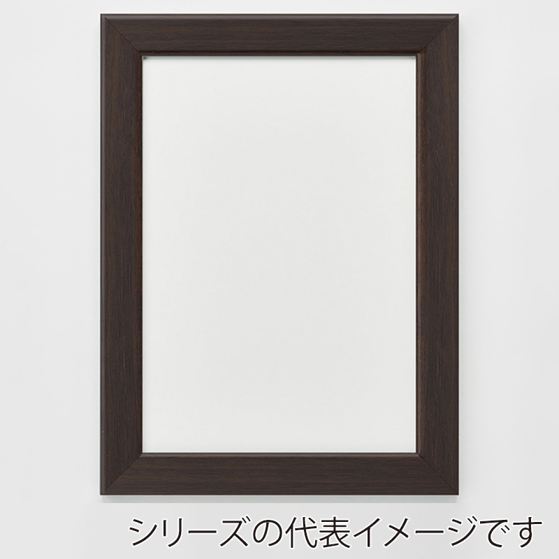 アルナ デッサン額 CF 小全紙 659×509mm ビターフレーム 1個(ご注文単位1個)【直送品】