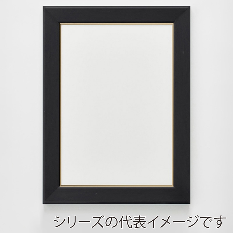 アルナ デッサン額 CF 面金付き 小全紙 659×509mm ビターフレーム 1個(ご注文単位1個)【直送品】