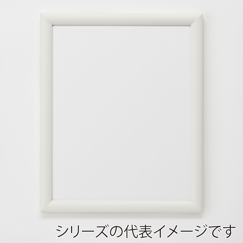 ネオホワイトフレーム