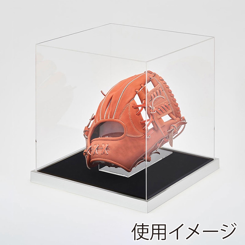 アルナ グローブケース T25 通常アクリル シルバーフレーム/黒別珍 1個(ご注文単位1個)【直送品】
