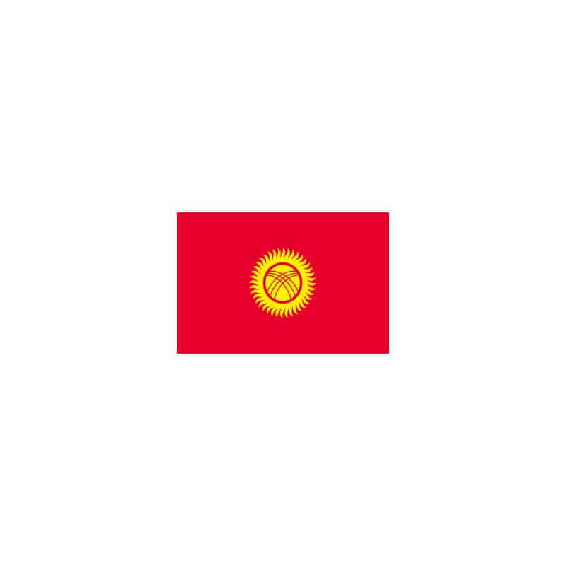 P・O・Pプロダクツ 世界の国旗 No.2 22996　キルギスタン 1枚（ご注文単位1枚）【直送品】