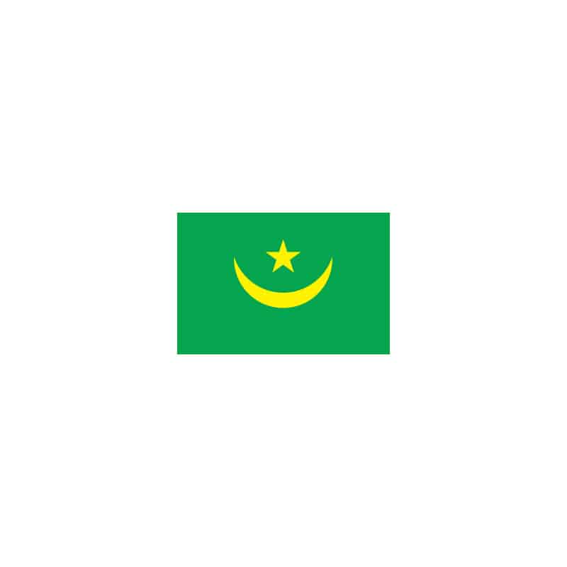 P・O・Pプロダクツ 世界の国旗 No.2 23544 モーリタニア 1枚(ご注文単位1枚)【直送品】