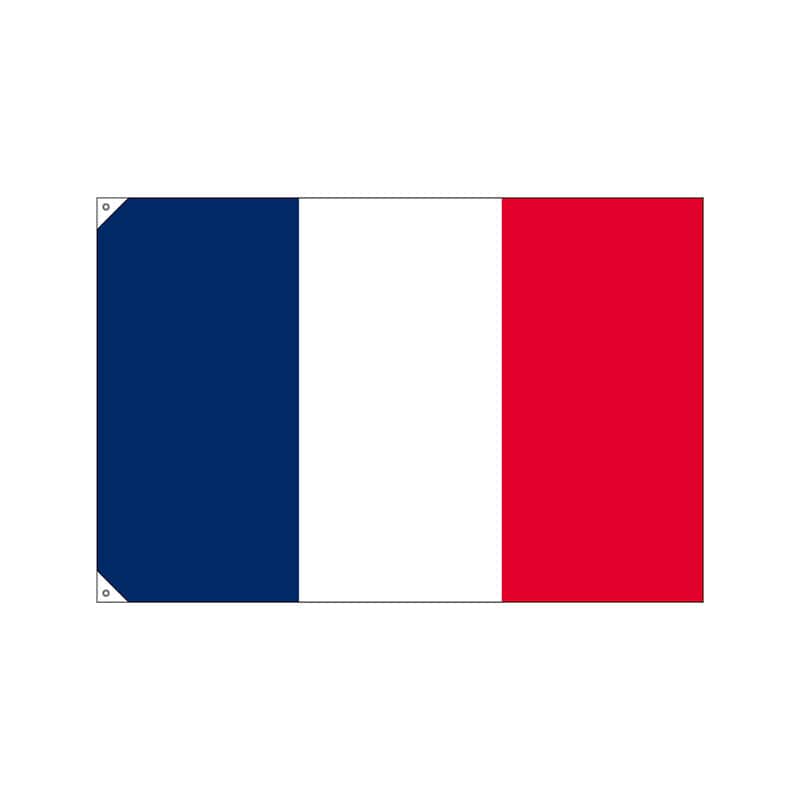 P・O・Pプロダクツ 国旗 販促用 大 23675 フランス 1枚(ご注文単位1枚)【直送品】