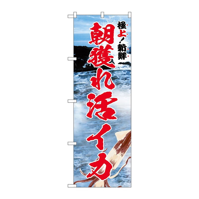 P・O・Pプロダクツ のぼり SNB-5322 朝獲れ活イカ 極上 1枚(ご注文単位1枚)【直送品】