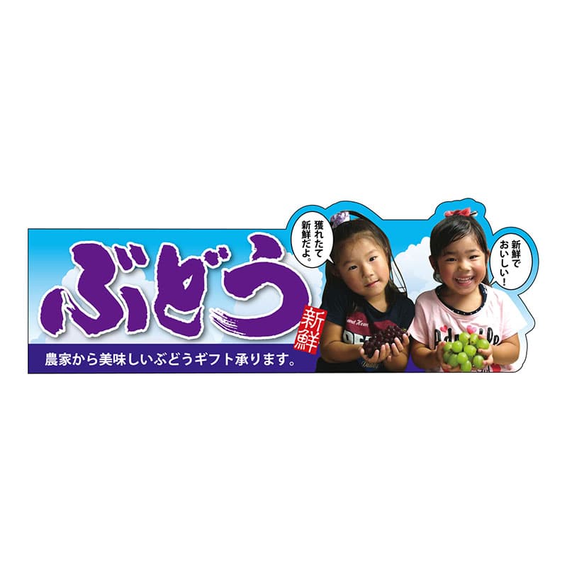 P・O・Pプロダクツ 変形パネル 63974 ぶどう 1枚(ご注文単位1枚)【直送品】