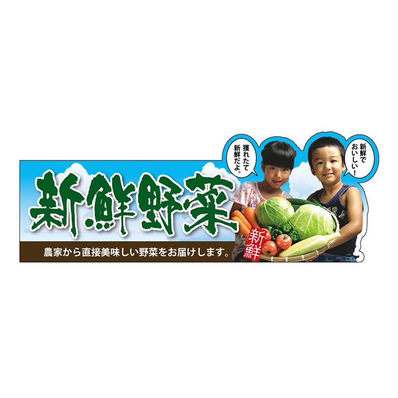 P・O・Pプロダクツ 変形パネル 63978 新鮮野菜 1枚(ご注文単位1枚)【直送品】