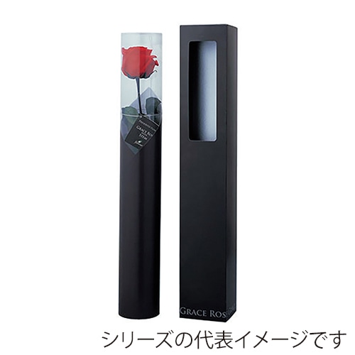 フロールエバー プリザーブドフラワー　グレースローズ　ステム付 ホットピンク FL092-08 1本（ご注文単位1本）【直送品】