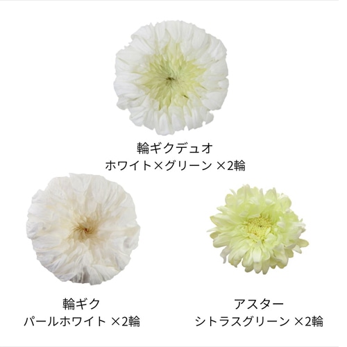フロールエバー プリザーブドフラワー マムパレット ホワイトGミックス FLP45144-138 1箱(ご注文単位1箱)【直送品】