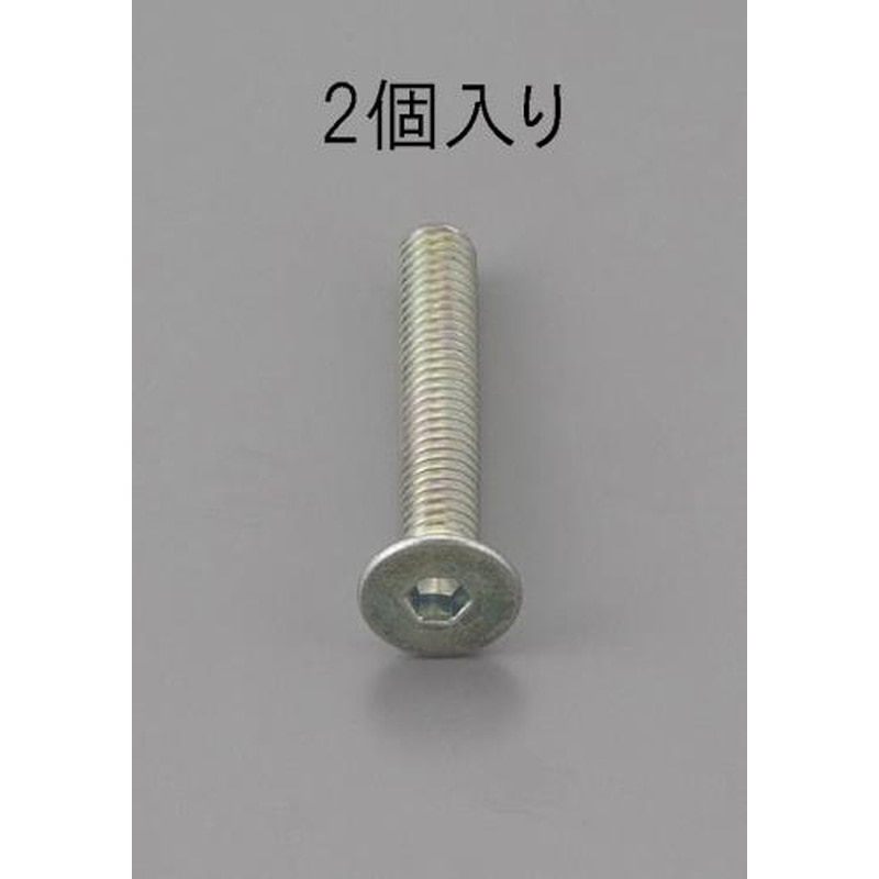 エスコ EA949MC-810 M8x10mm六角穴付皿頭ボルト三価クロメート/2本 1個（ご注文単位1個）【直送品】
