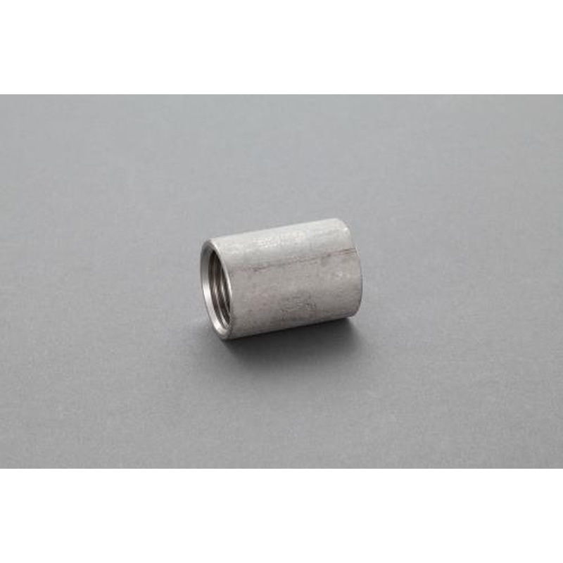 エスコ EA469AA-20A Rp2”ソケット(ステンレス製) 1個(ご注文単位1個)【直送品】
