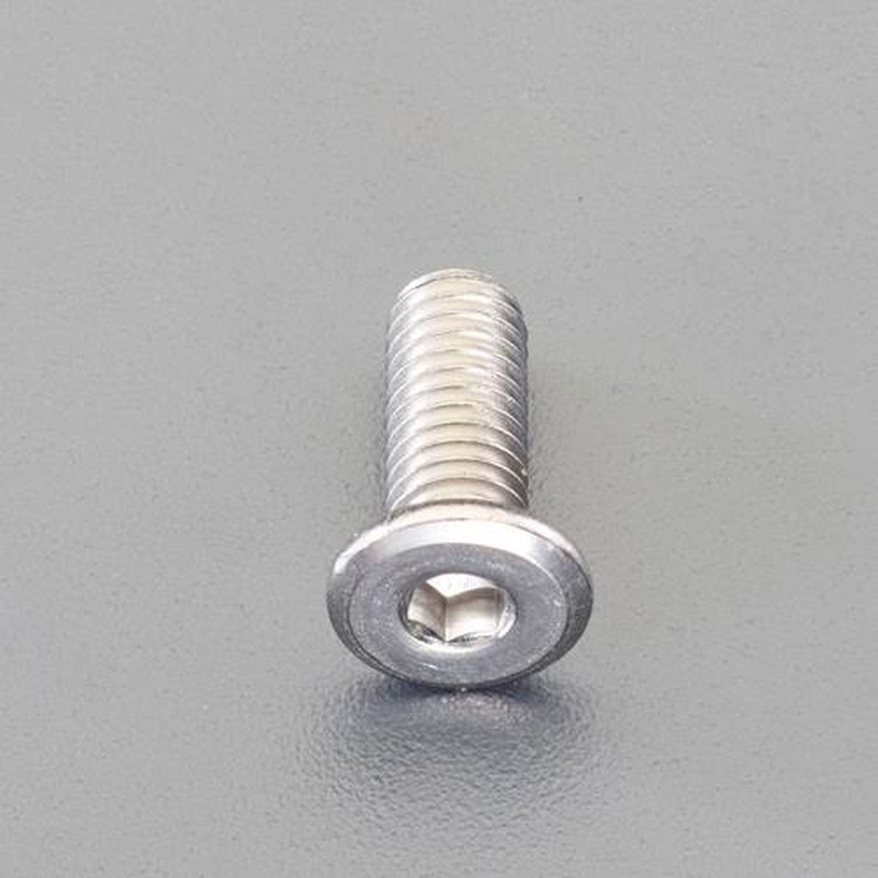 エスコ EA949MX-1010 M10x10mm六角穴付ボルト(超低頭/ステンレス/1本) 1個(ご注文単位1個)【直送品】