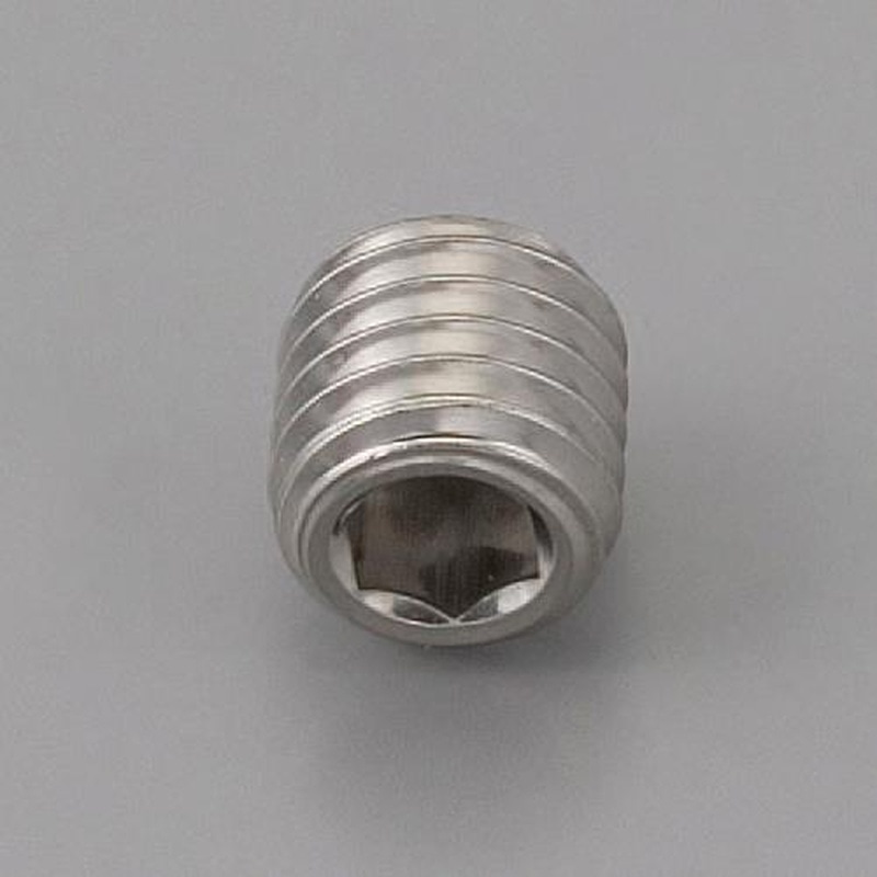 エスコ EA949MR-1022F M10x22mm六角穴付止ねじ(ステンレス製/2本) 1個(ご注文単位1個)【直送品】