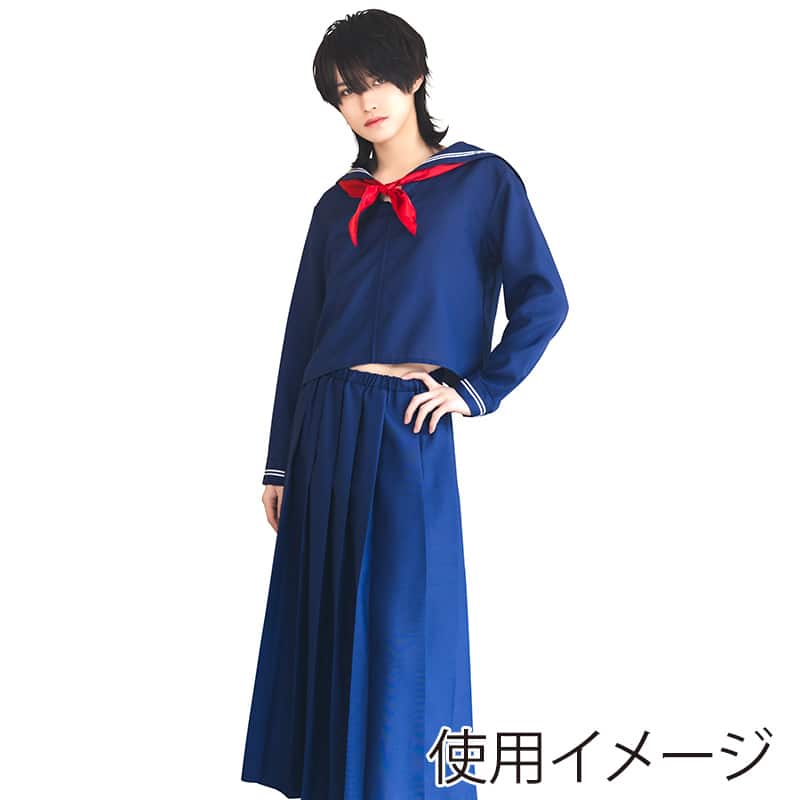 クリアストーン コスチューム ハニーボーイ スケバンセーラー 1個（ご注文単位1個）【直送品】