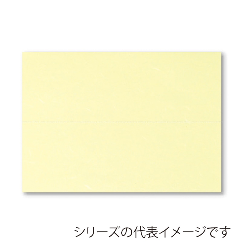 アーテック 高級コピー用和紙　マイクロミシン目入 A4 CT-03M　クリーム 1冊（ご注文単位1冊）【直送品】