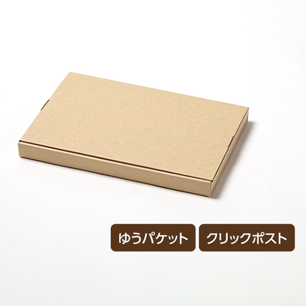 サガシキ メール便ケース N式 A4 3cm対応 MLC001AA_S_50 50枚/束(ご注文単位1束)【直送品】