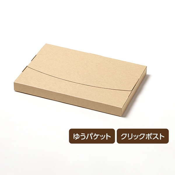 サガシキ メール便ケース ジッパー付 A4 3cm対応 MLC002AA_S_50 50枚/束(ご注文単位1束)【直送品】