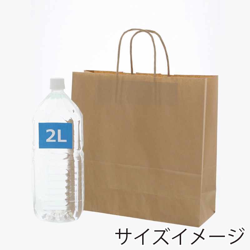 HEIKO 紙袋 25チャームバッグ 25CB 3才 E未晒無地 50枚/袋