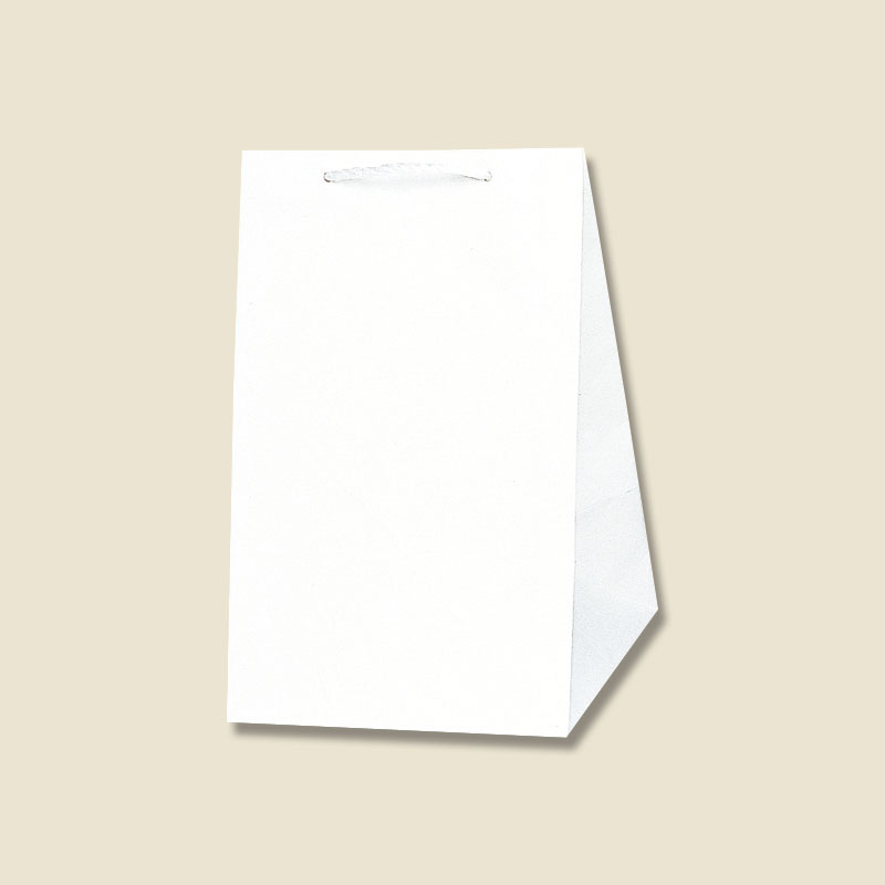 HEIKO 紙袋 広口チャームバッグ L-2 10枚/袋