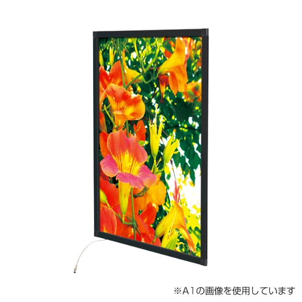友屋 LEDパネル イージーライトパネル ver.2.0 A4 ブラック 62160A4B 1枚（ご注文単位1枚）【直送品】