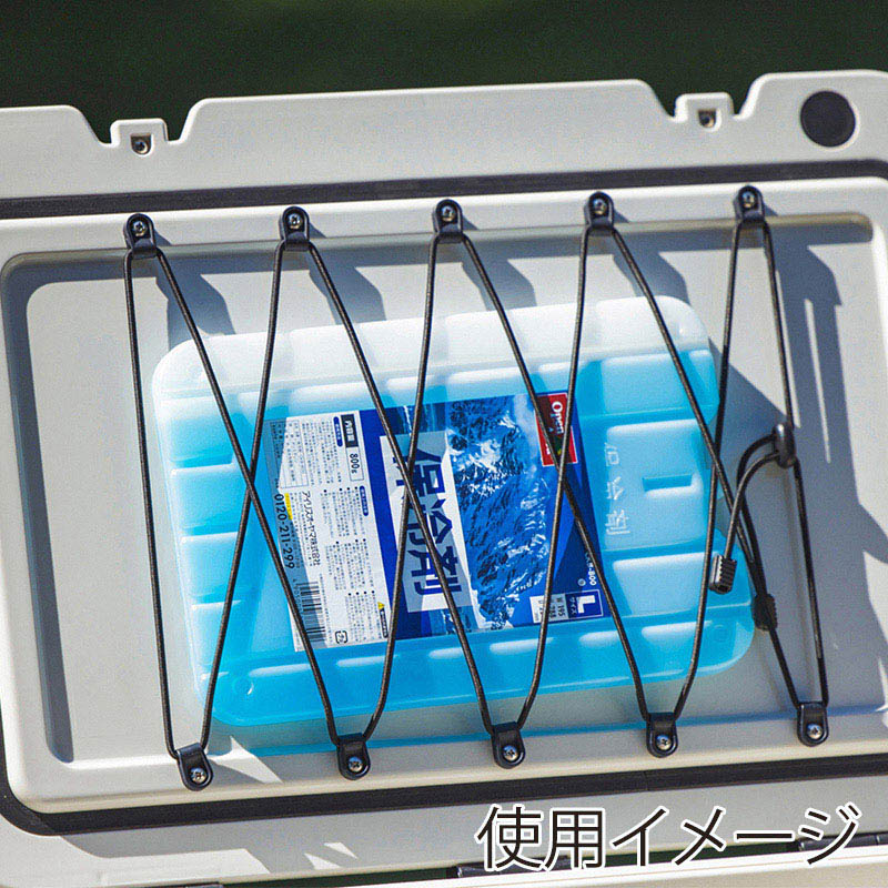 アイリスオーヤマ 保冷剤 ハード Mサイズ 500g CKB-500 1個(ご注文単位1個)【直送品】