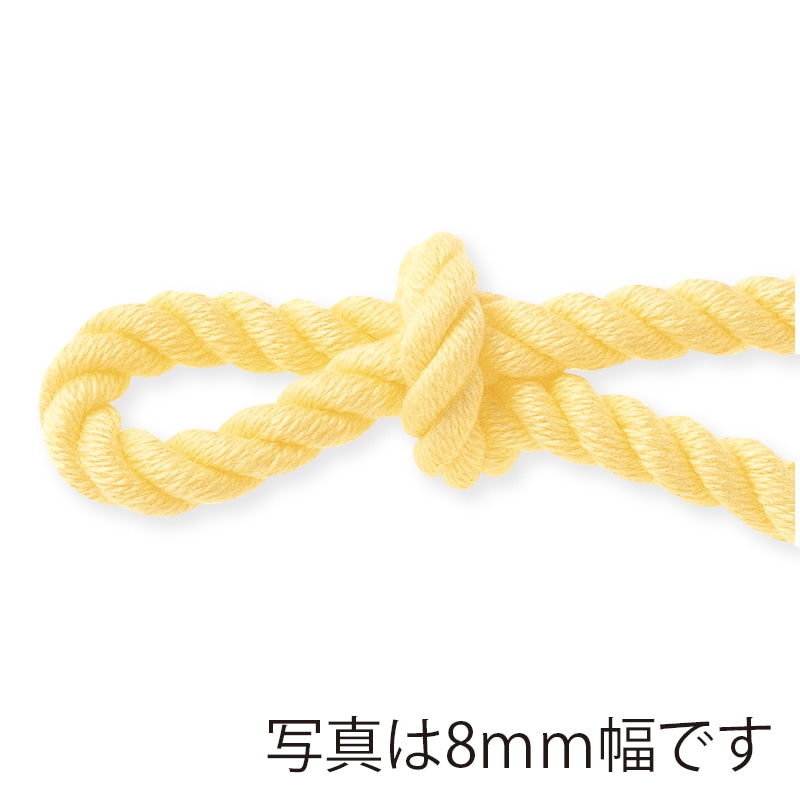 東京リボン コード フレンチコード 45200 6×11 #2 1巻(ご注文単位1巻)【直送品】