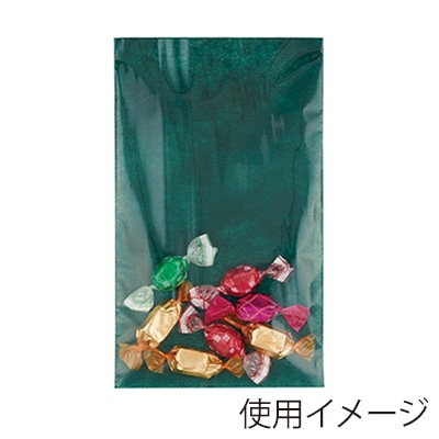 エーワン 不織布平袋 ソフトバッグクリア S3 グリーン LS0143AS00 100枚/束（ご注文単位1束）【直送品】