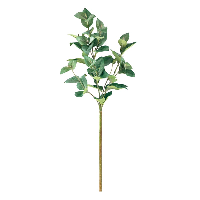 造花枝物