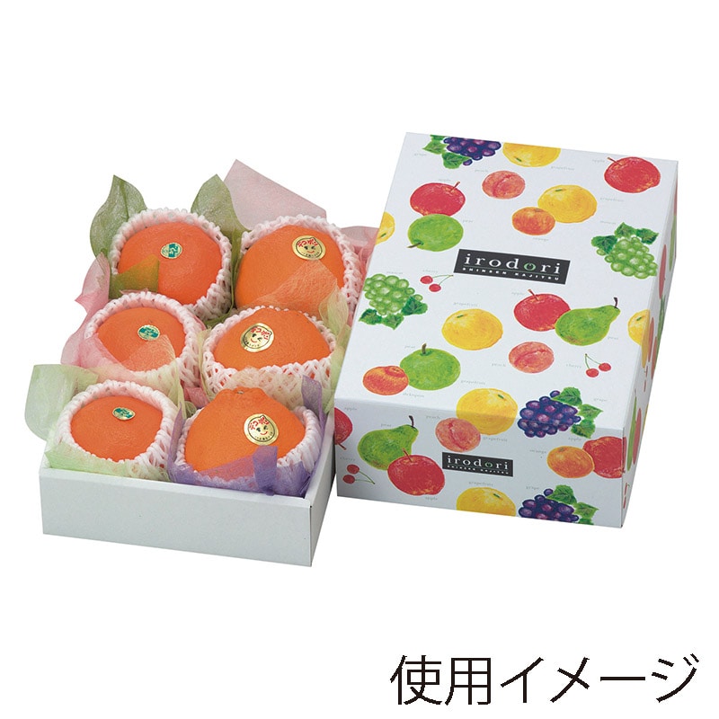 ヤマニパッケージ ギフト箱　いろどりパレット ミニ L-2070 10枚/束（ご注文単位5束）【直送品】