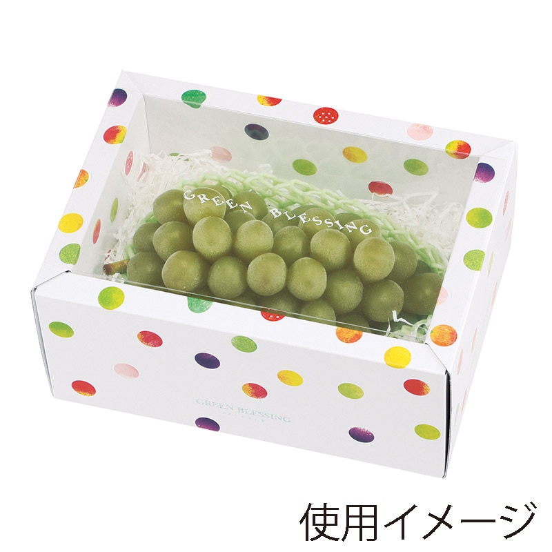 ヤマニパッケージ ギフト箱　みどりのめぐ実 2P　ホワイト L-2323 10枚/束（ご注文単位10束）【直送品】