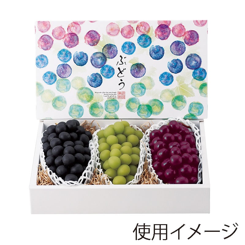 ヤマニパッケージ ギフト箱　彩りぶどう 3房 L-2369 10枚/束（ご注文単位4束）【直送品】