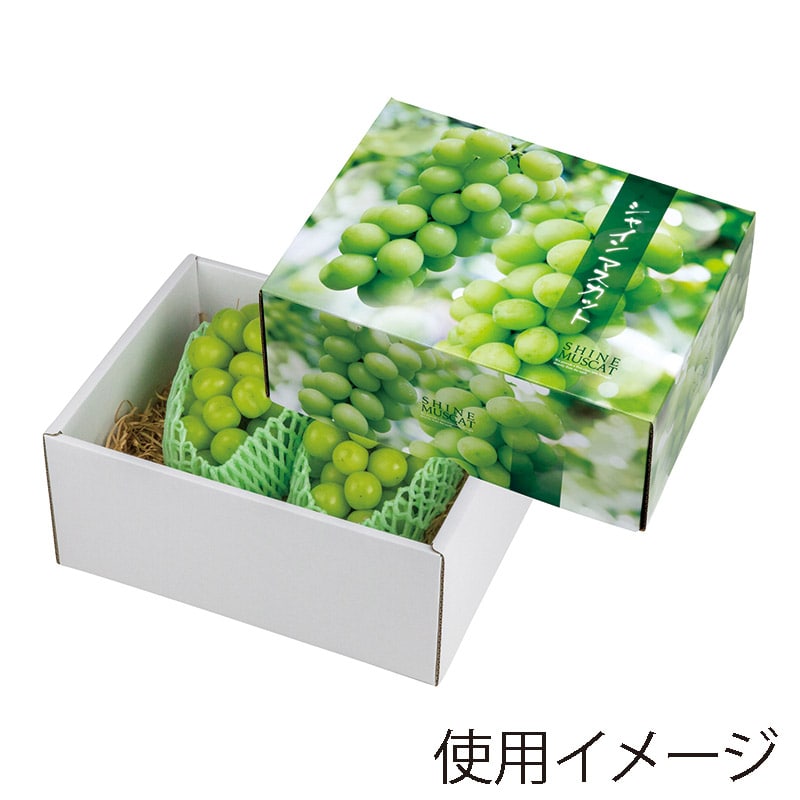 ヤマニパッケージ ギフト箱 シャインマスカット 大 L-2418 10枚/束(ご注文単位3束)【直送品】
