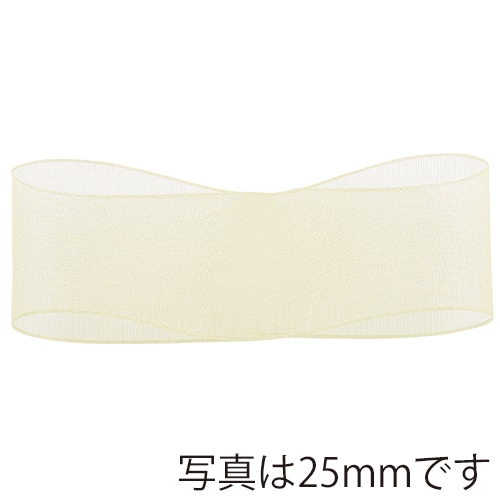 青山 リボン スーパーオーガンジー 0217 15×30 #02 1巻(ご注文単位1巻)【直送品】