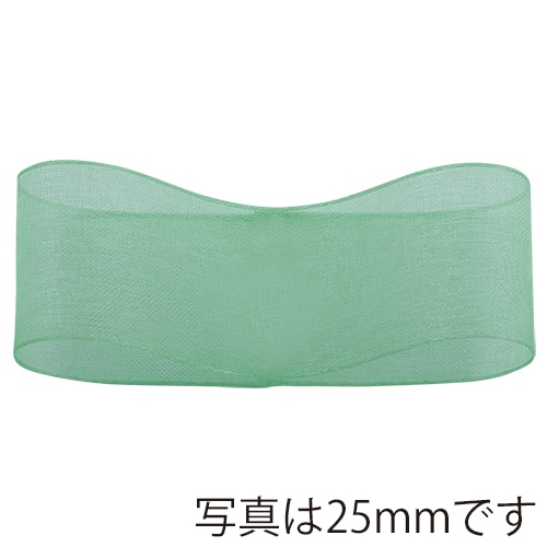 青山 リボン スーパーオーガンジー 0217 15×30 #10 1巻(ご注文単位1巻)【直送品】