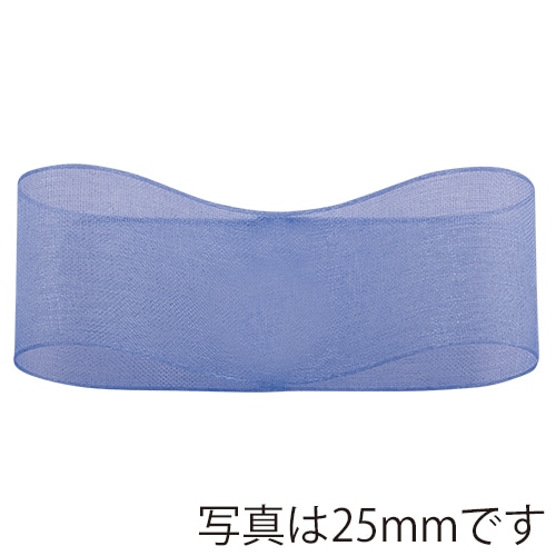 青山 リボン スーパーオーガンジー 0217 15×30 #22 1巻(ご注文単位1巻)【直送品】