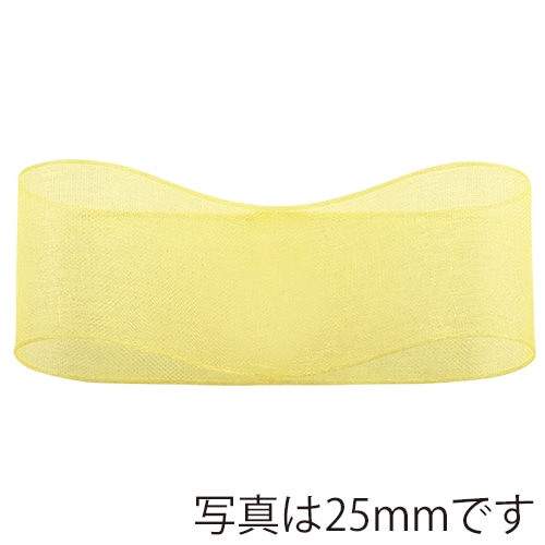 青山 リボン スーパーオーガンジー 0217 15×30 #64 1巻(ご注文単位1巻)【直送品】