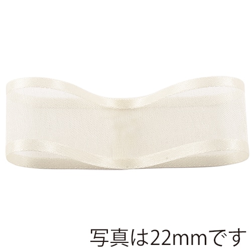 青山 リボン シェアーサテン 0218 10×30 #19 1巻(ご注文単位1巻)【直送品】