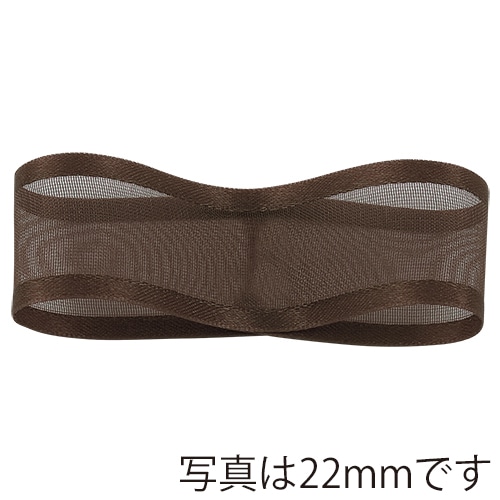 青山 リボン シェアーサテン 0218 10×30 #21 1巻(ご注文単位1巻)【直送品】