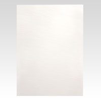 ジャパンアート ニューカラーボード 5mm厚　A1　ホワイト BP-5CB-A1-WH 1枚（ご注文単位1枚）【直送品】