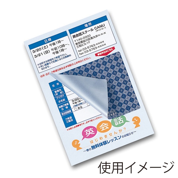 サンワサプライ 貼り直しができる目隠しシール はがき 2面付 20シート入 JP-HKSEC11 1冊(ご注文単位1冊)【直送品】