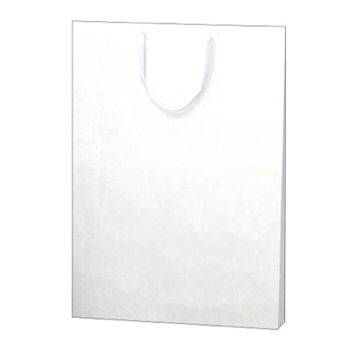 ササガワ 手提げ袋 額縁用　390×45×510mm 50-6900　10枚 1包（ご注文単位1包）【直送品】