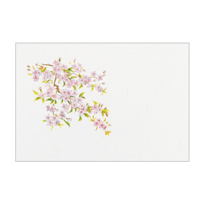 大黒工業 テーブルマット #951 桜 100枚/袋(ご注文単位1袋)【直送品】