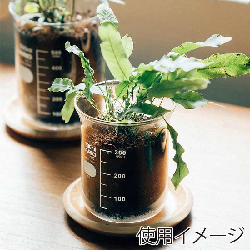 HARIO ビーカーの穴あき鉢 300ml BP-300 1個(ご注文単位1個)【直送品】