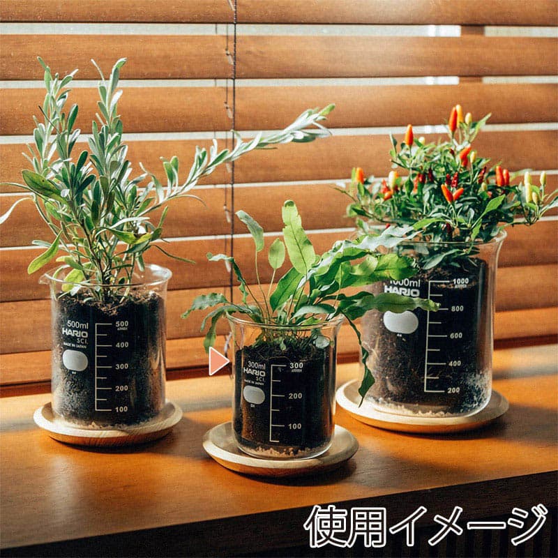 HARIO ビーカーの穴あき鉢 300ml BP-300 1個(ご注文単位1個)【直送品】