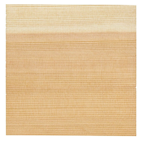 ヤマコー 杉懐敷 5寸 100枚入 24003 1パック(ご注文単位1パック)【直送品】