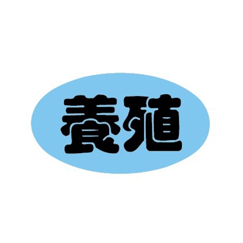 金久 POPシール 養殖 B-113 1束(ご注文単位1束)【直送品】