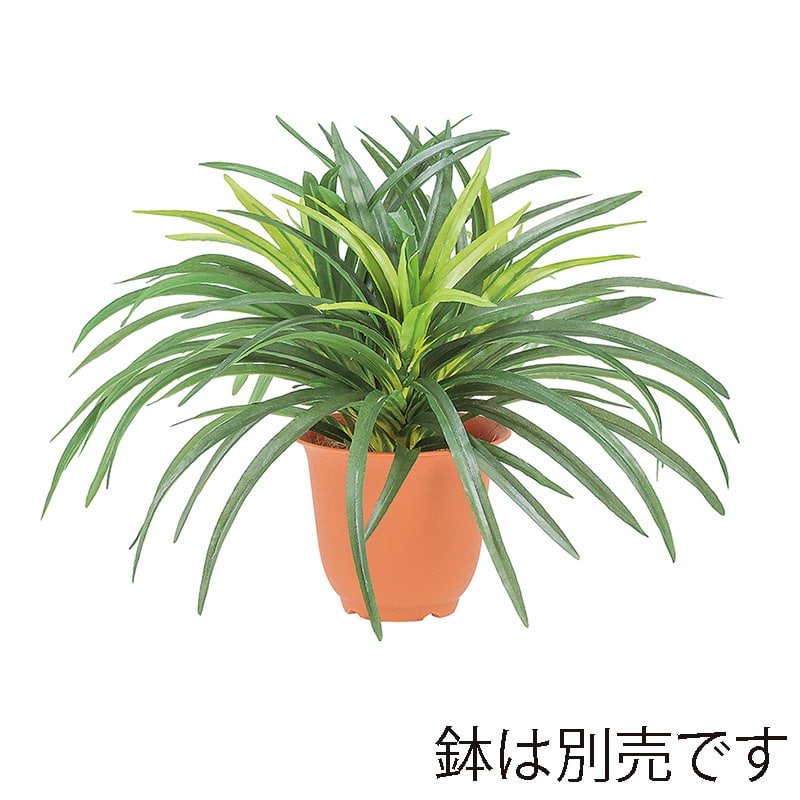 ドガ ドラセナブッシュ ツートングリーン LEB-8045 1本(ご注文単位1本)【直送品】